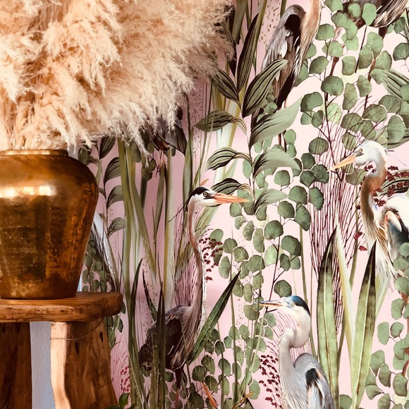 NFS - Picture 1 of 3